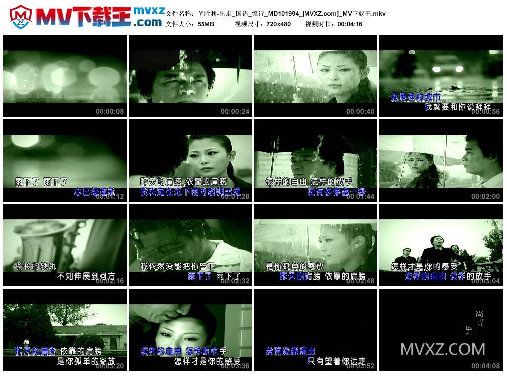 尚胜利-出走_国语_流行_MD101994